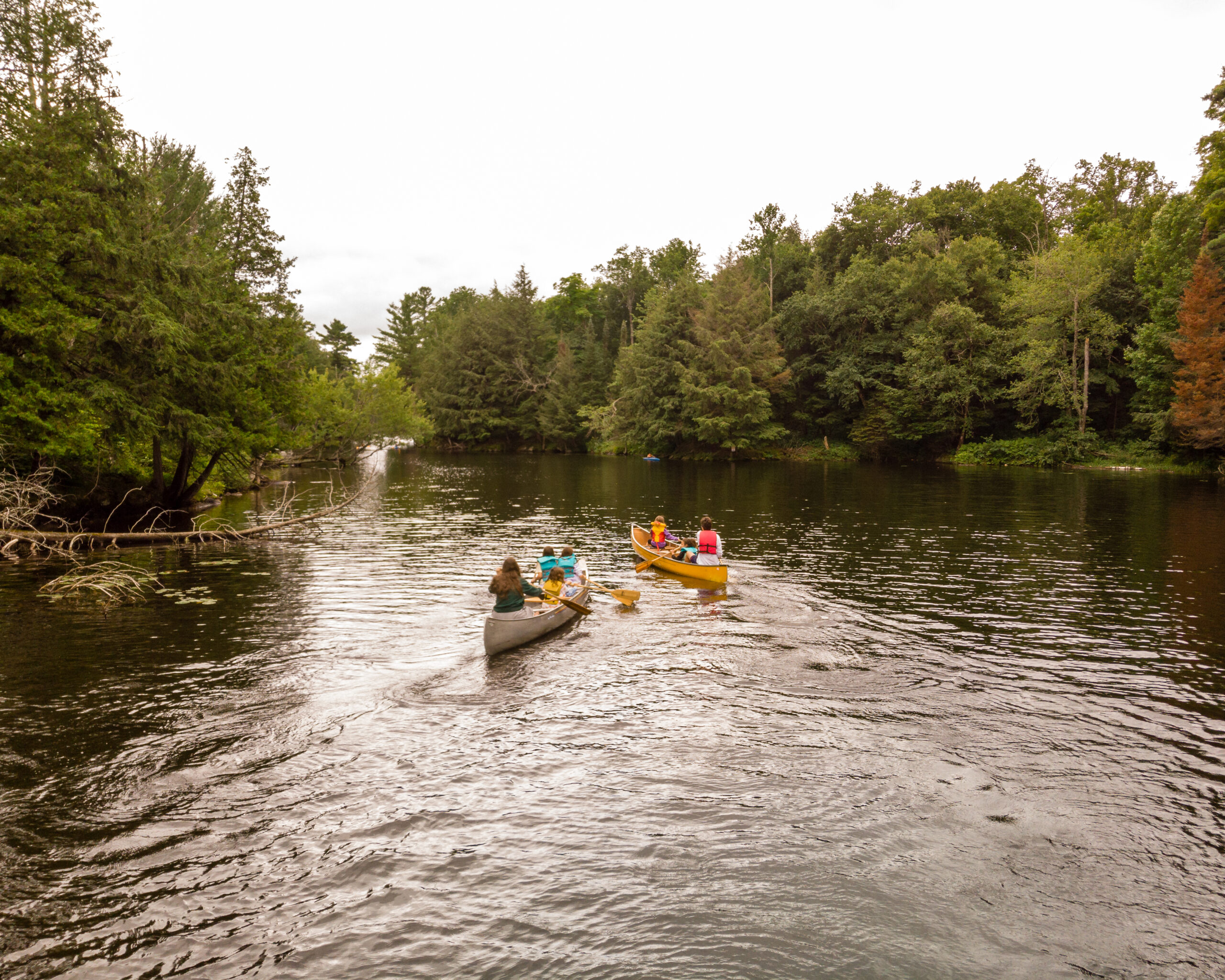 Canoeing down the river